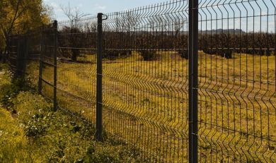 Fencing on property