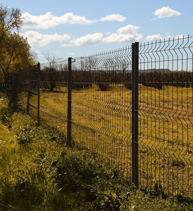 Fencing on property